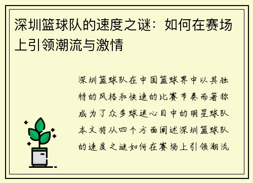 深圳篮球队的速度之谜：如何在赛场上引领潮流与激情